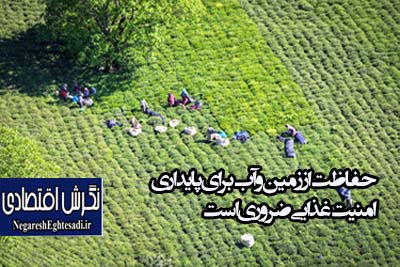 حفاظت از زمین و آب برای پایداری امنیت غذایی ضروری است