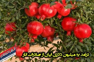 صادرات انار درآمد ۱۷ میلیون دلاری ایران از صادرات انار