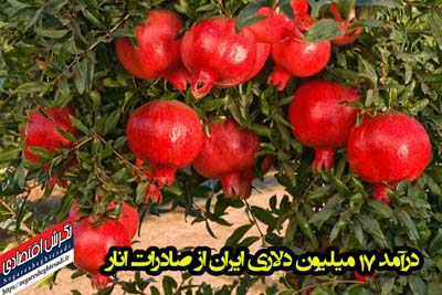 صادرات انار