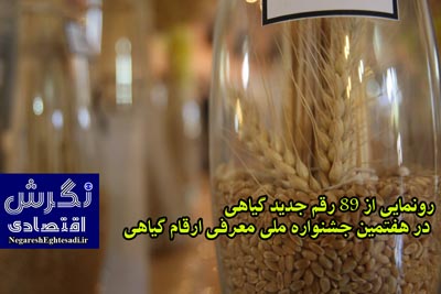رونمایی از ۸۹ رقم جدید گیاهی در هفتمین جشنواره ملی معرفی ارقام گیاهی