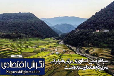 سرانه زمین کشاورزی برای هر ایرانی به زیر دو هکتار رسیده است