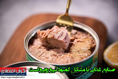 رئیس سندیکای صنایع کنسرو ایران
