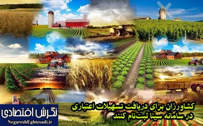 کشاورزان برای دریافت تسهیلات اعتباری در سامانه سیتا ثبت‌نام کنند