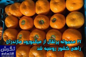 ۲۱ محموله پرتقال از میاندورود مازندران راهی کشور روسیه شد