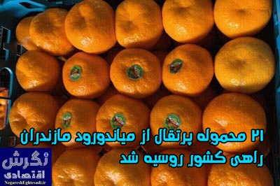 ۲۱ محموله پرتقال از میاندورود مازندران راهی کشور روسیه شد