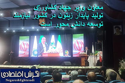 معاون وزیر جهاد کشاورزی: تولید پایدار زیتون در کشور نیازمند توسعه دانش محور است