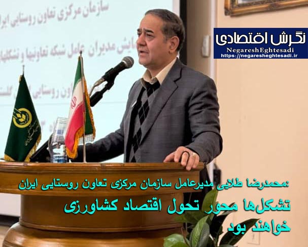  محمدرضا طلایی مدیرعامل سازمان مرکزی تعاون روستایی ایران: تشکل‌ها محور تحول اقتصاد کشاورزی خواهند بود