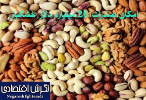 امکان صادرات ۲۰ میلیارد دلار خشکبار وجود دارد