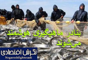 بنادر ماهیگیری هوشمند می‌شوند