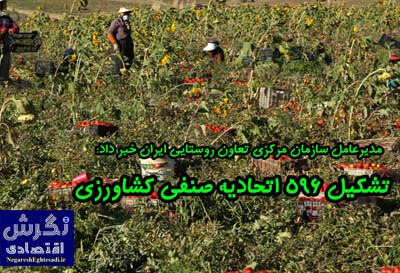 تشکیل ۵۹۶ اتحادیه صنفی کشاورزی