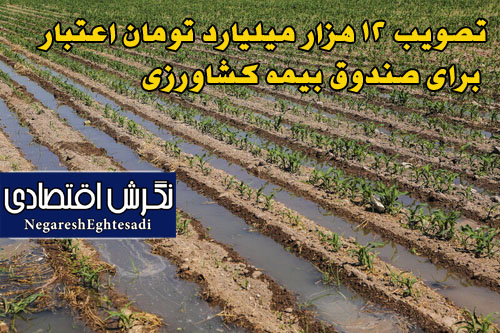تصویب ۱۲ هزار میلیارد تومان اعتبار برای صندوق بیمه کشاورزی