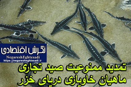 تمدید ممنوعیت صید تجاری ماهیان خاویاری دریای خزر