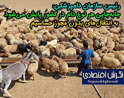 رئیس سازمان دامپزشکی: