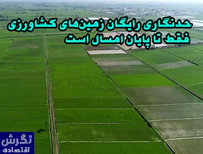 حدنگاری رایگان زمین‌های کشاورزی فقط تا پایان امسال است