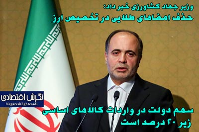 سهم دولت در واردات کالاهای اساسی زیر ۲۰ درصد است