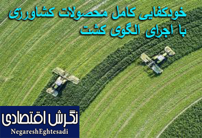 خودکفایی کامل محصولات کشاورزی با اجرای الگوی کشت