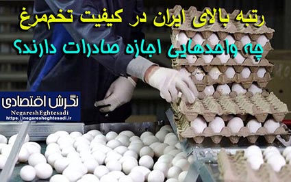 رتبه بالای ایران در کیفیت تخم‌مرغ‌