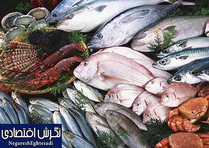 صنعت شیلات، آینده‌ای درخشان برای توسعه پایدار و سلامت جامعه