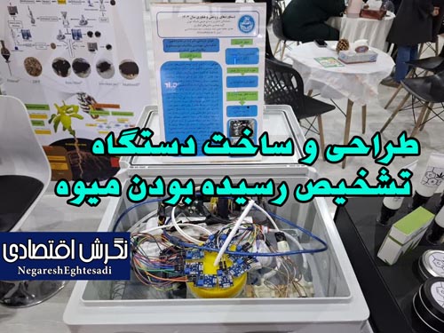 طراحی و ساخت دستگاه تشخیص رسیده بودن میوه