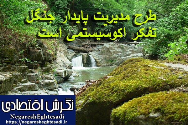 طرح مدیریت پایدار جنگل، تفکر اکوسیستمی است