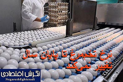 نرخ تخم‌مرغ تا پایان سال تغییر نمی‌کند