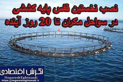 نصب نخستین قفس پایه کششی در سواحل مکران تا ۲۰ روز آینده