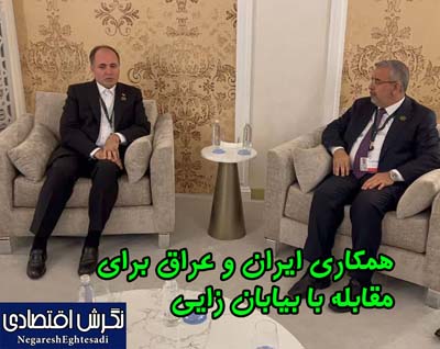 همکاری ایران و عراق برای مقابله با بیابان زایی