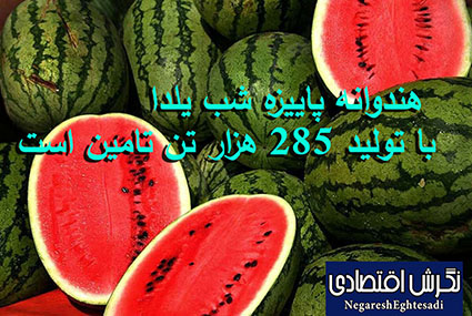 مدیرکل دفتر محصولات علوفه‌ای و جالیزی وزارت جهاد کشاورزی: هندوانه پاییزه شب یلدا با تولید ۲۸۵ هزار تن تامین است