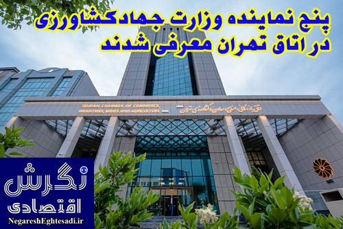 پنج نماینده وزارت جهادکشاورزی در اتاق تهران معرفی شدند