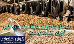 مدیرکل دفتر بهبود تغذیه و جایگاه امور دام وزارت جهاد کشاورزی:شصدو یک درصد کارخانجات دام، طیور و آبزیان رتبه‌بندی شدند