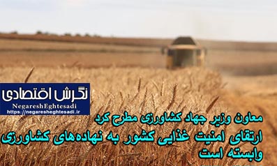 معاون وزیر جهاد کشاورزی مطرح کرد: ارتقای امنیت غذایی کشور به نهاده‌های کشاورزی وابسته است