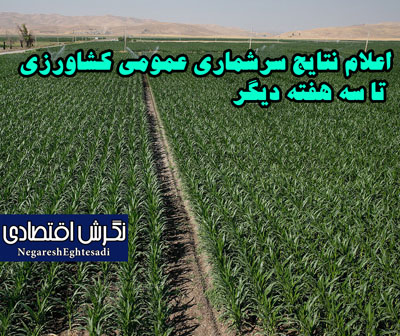 اعلام نتایج سرشماری عمومی کشاورزی تا سه هفته دیگر