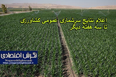 اعلام نتایج سرشماری عمومی کشاورزی تا سه هفته دیگر