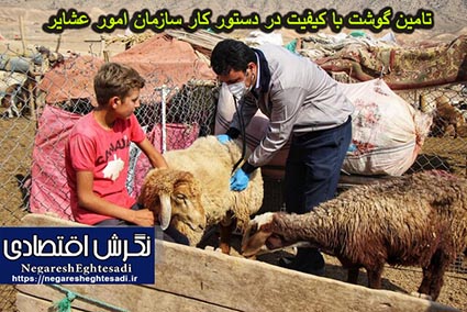 تامین گوشت با کیفیت در دستور کار سازمان امور عشایر
