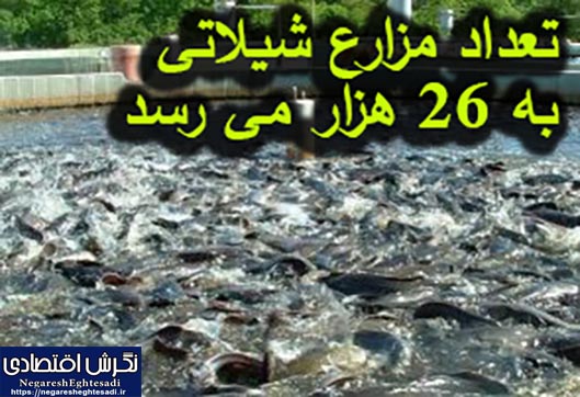 تعداد مزارع شیلاتی به ۲۶ هزار می رسد