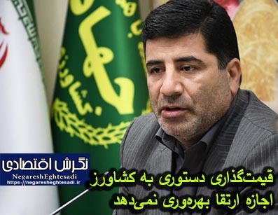قیمت‌گذاری دستوری به کشاورز اجازه ارتقا بهره‌وری نمی‌دهد