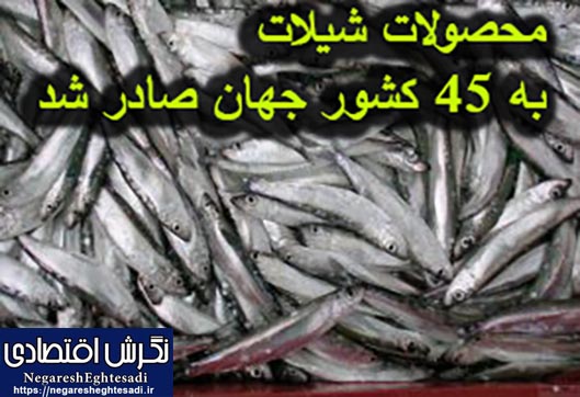 محصولات شیلات به ۴۵ کشور جهان صادر شد