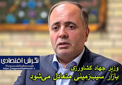 وزیر جهاد کشاورزی: بازار سیب‌زمینی متعادل می‌شود