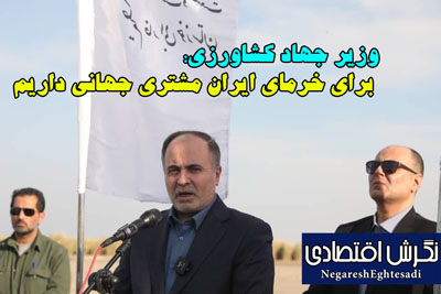 وزیر جهاد کشاورزی: برای خرمای ایران مشتری جهانی داریم