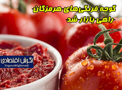 گوجه فرنگی‌های هرمزگان راهی بازار شد