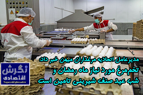 مدیرعامل اتحادیه مرغداران میهن خبر داد: تخم‌مرغ مورد نیاز ماه رمضان و شب عید صنف شیرینی تامین است