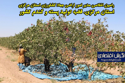رامین اخلاصی مدیر امور اراضی جهاد کشاورزی استان مرکزی استان مرکزی، قطب تولید پسته و گندم کشور