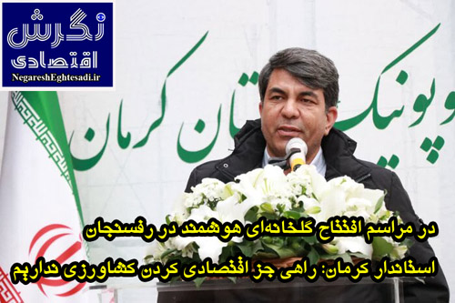 استاندار کرمان راهی جز اقتصادی کردن کشاورزی نداریم