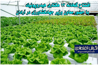 افتتاح گلخانه ۱۲ هکتاری هیدروپونیک با حضور معاون وزیر جهادکشاورزی در آرادان
