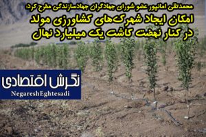 محمدتقی امانپور عضو شورای جهادگران جهادسازندگی مطرح کرد: امکان ایجاد شهرک‌های کشاورزی مولد در کنار نهضت کاشت یک میلیارد نهال