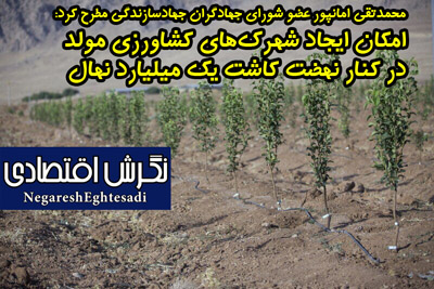 محمدتقی امانپور عضو شورای جهادگران جهادسازندگی مطرح کرد: امکان ایجاد شهرک‌های کشاورزی مولد در کنار نهضت کاشت یک میلیارد نهال
