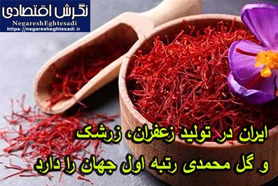 ایران در تولید زعفران، زرشک و گل محمدی رتبه اول جهان را دارد