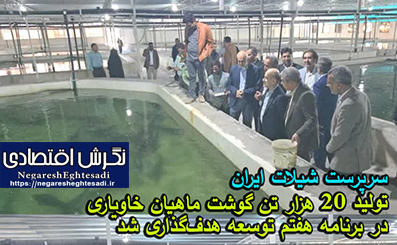 سرپرست شیلات ایران: تولید ۲۰ هزار تن گوشت ماهیان خاویاری در برنامه هفتم توسعه هدف‌گذاری شد