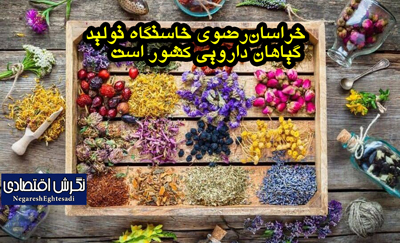 خراسان‌رضوی خاستگاه تولید گیاهان دارویی کشور است
