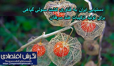 دستیابی ایران به فناوری کشت سلولی گیاهی برای تولید ترکیبات ضد سرطان